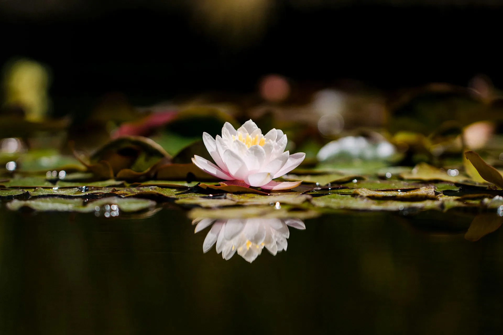 تصویر اطلاعات صندوق‌ها